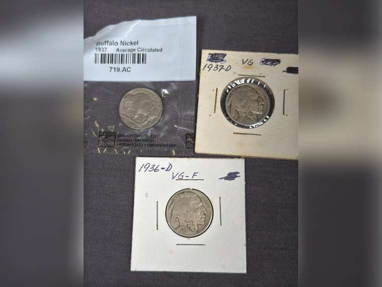 19 Buffalo Nickels