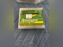 (200) Rounds of Remington 22 Golden Bullet (22LR)