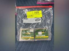(200) Rounds of Remington 22 Golden Bullet (22LR)