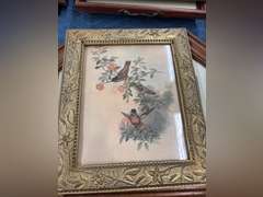 Hummingbird Print & White Church Octagon Shaped Print