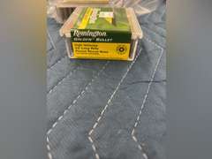(200) Rounds of Remington 22 Golden Bullet (22LR)