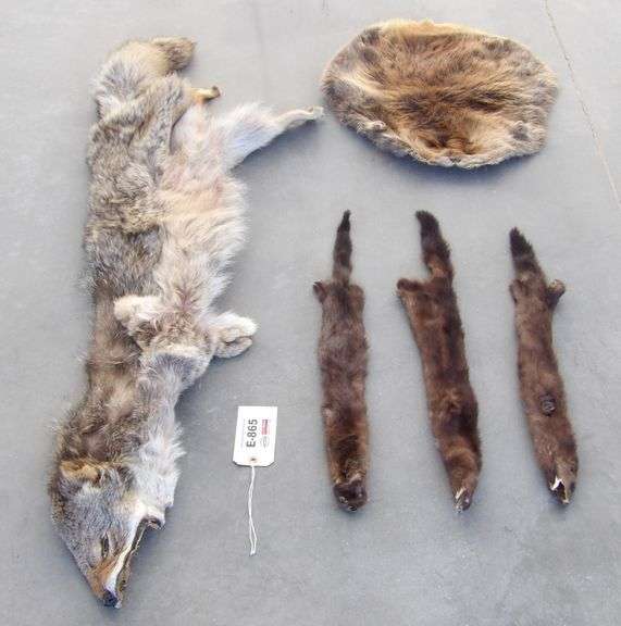 E-865 Wild Game Pelts