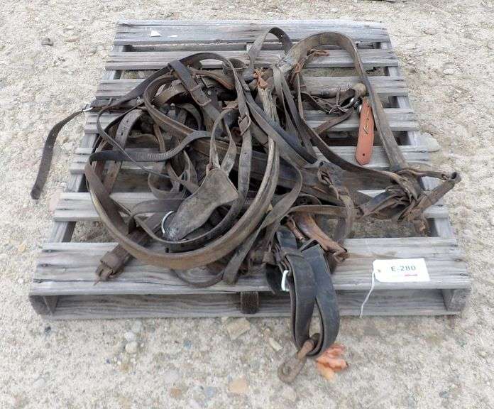 E-280  Horse Harness