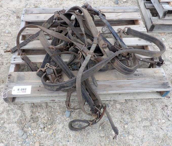 E-282  Horse Harness