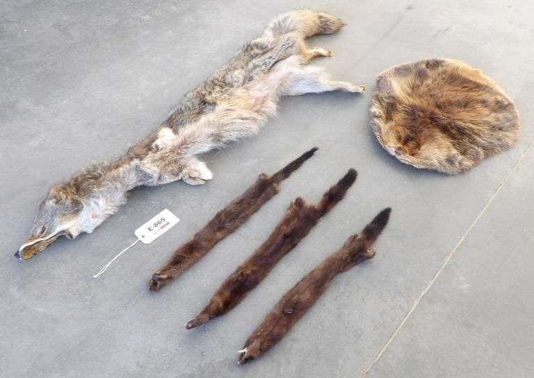 E-865 Wild Game Pelts