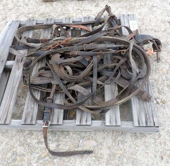 E-280  Horse Harness