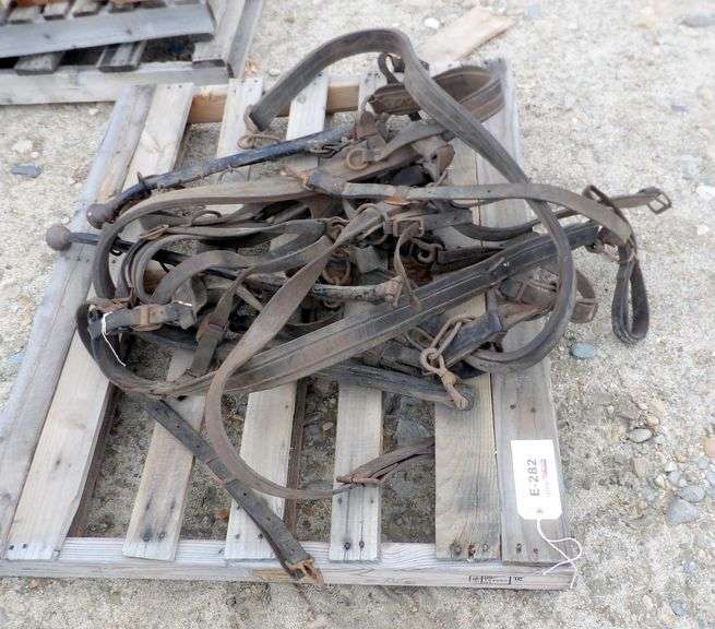 E-282  Horse Harness