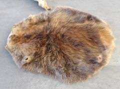 E-865 Wild Game Pelts