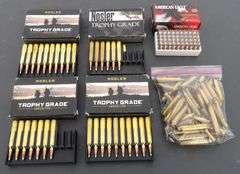 E-866 Ammo & Brass