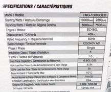 E-546 TMG Portable Generator