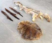 E-865 Wild Game Pelts