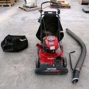 E-163  Craftsman Leaf Vac