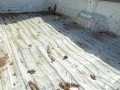 E-736  2001 Ford F-250 Pickup