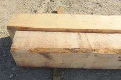 E-1217 Pine Timbers