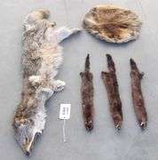 E-865 Wild Game Pelts