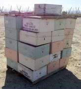 E-1010 Bee Boxes