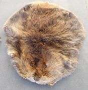 E-865 Wild Game Pelts