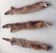 E-865 Wild Game Pelts