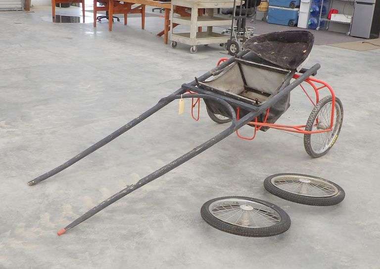 P-118  Single Horse Carriage