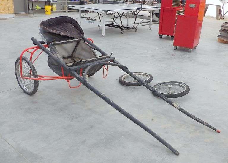 P-118  Single Horse Carriage