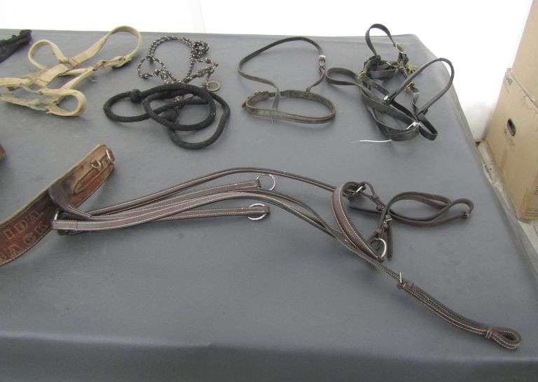 P-277 Equestrian Supplies