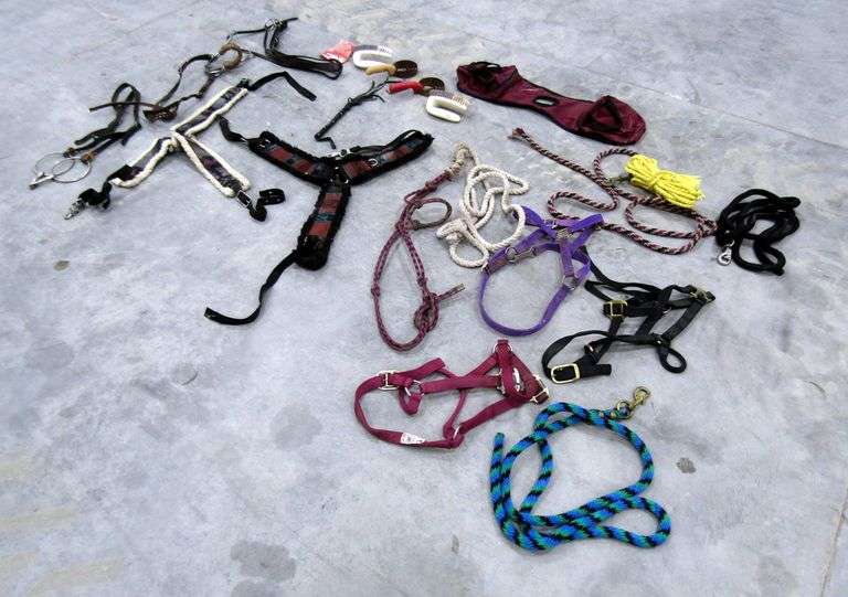 P-278  Halters & Horse Tack