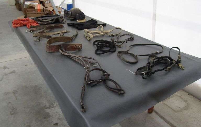 P-277 Equestrian Supplies