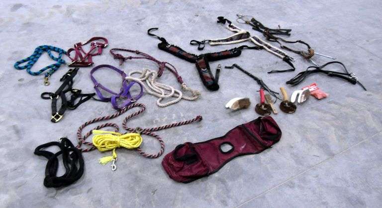 P-278  Halters & Horse Tack