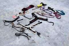 P-278  Halters & Horse Tack