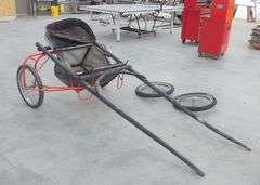 P-118  Single Horse Carriage