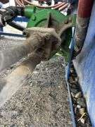 R-344 Snyder Industries 3-Point Sprayer