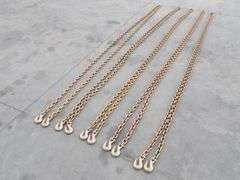 P-564  Chains w/Hooks  (5) 3/8"x20'