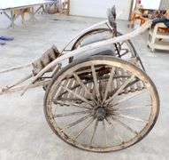 P-119 Horse Carriage