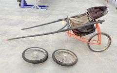 P-118  Single Horse Carriage