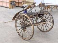 P-119 Horse Carriage