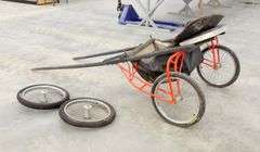 P-118  Single Horse Carriage