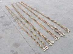 P-564  Chains w/Hooks  (5) 3/8"x20'