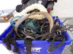 P-117  Equestrian Supplies