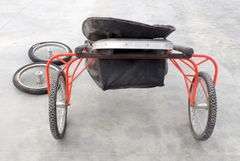 P-118  Single Horse Carriage