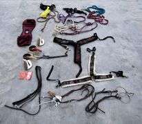 P-278  Halters & Horse Tack