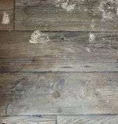 R-417 Enclosed Chicken Coop