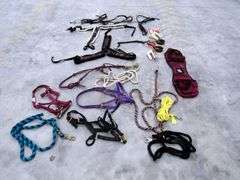 P-278  Halters & Horse Tack