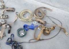 P-389  Chains + Straps