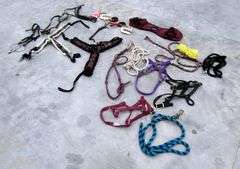 P-278  Halters & Horse Tack