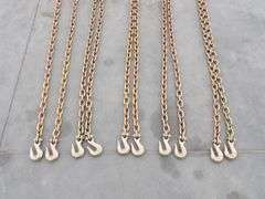 P-564  Chains w/Hooks  (5) 3/8"x20'