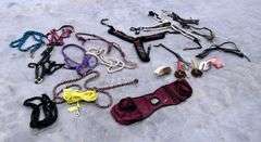 P-278  Halters & Horse Tack