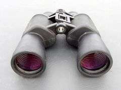 P-395  Ammo + Binoculars