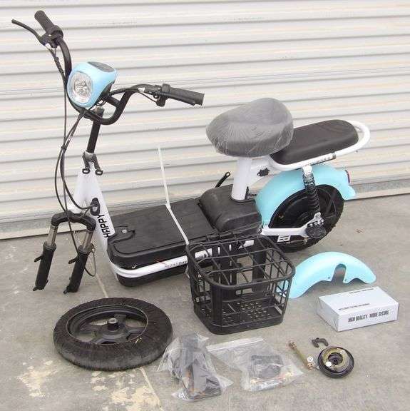 R-1069 Electric Bike