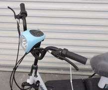 R-1069 Electric Bike