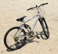 R-932 Vertical Mountain Bike